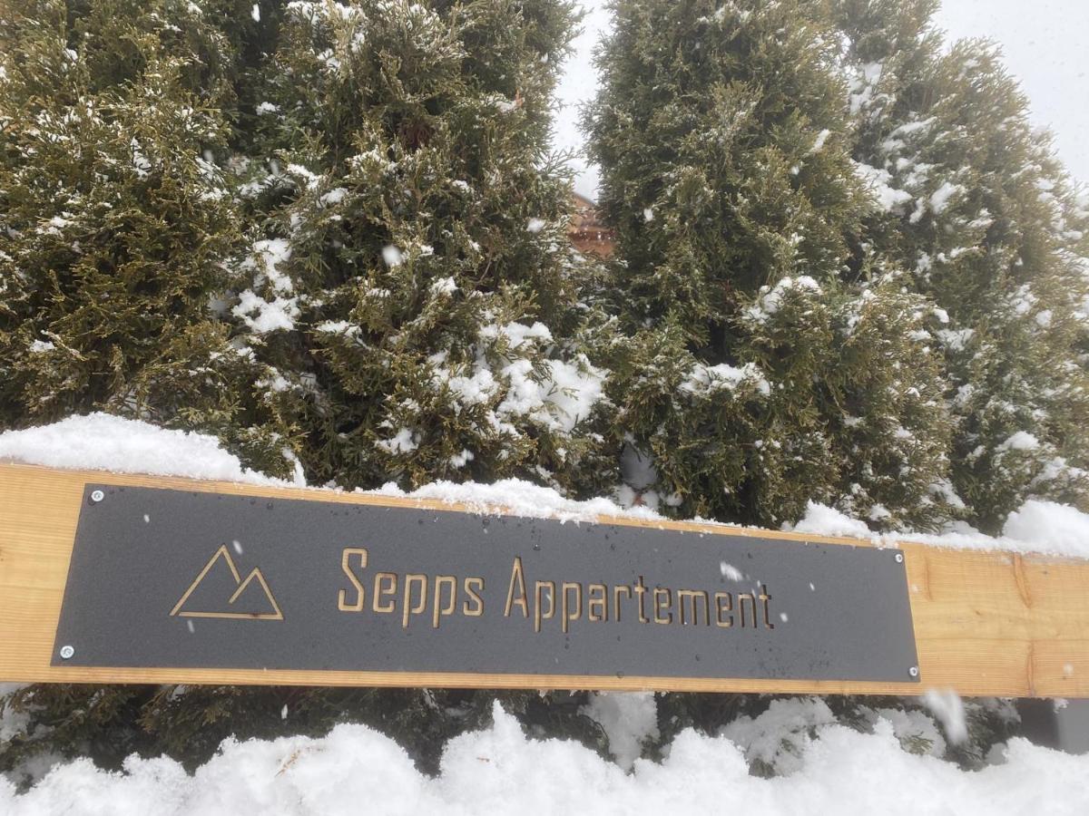 Sepps Appartement Fieberbrunn Eksteriør bilde